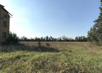 Rustico Montechiarugolo - foto 7