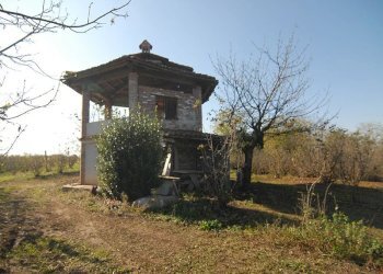 Casale Carrù - foto 6