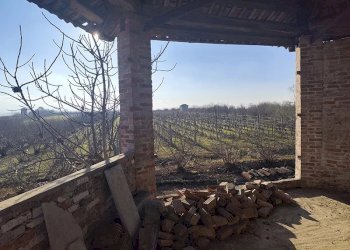 Casale Carrù - foto 10