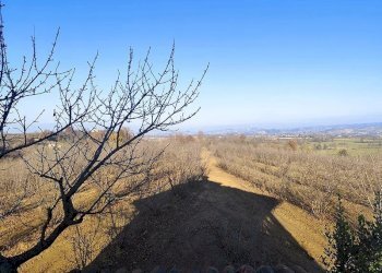 Casale Carrù - foto 12