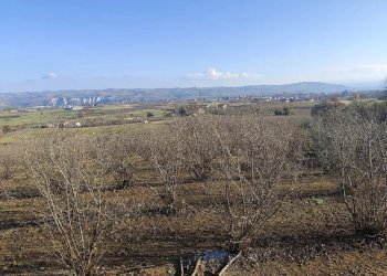 Casale Carrù - foto 13