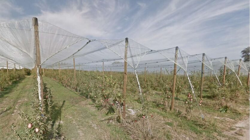 Farm Soliera - photo 1