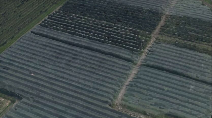 Farm Soliera - photo 2