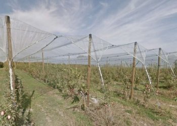 Farm Soliera - photo 1