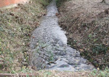 IMG_9061.JPG - Rustico via agogna, Cavaglietto - foto 5