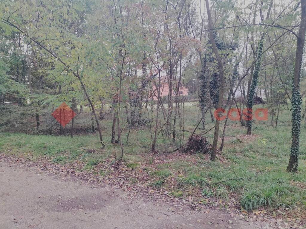 IMG20231104092710.jpg - Terreno edificabile via borgomanero, 10, Cressa - foto 2