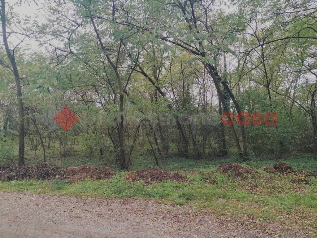 IMG20231104092727.jpg - Terreno edificabile via borgomanero, 10, Cressa - foto 3