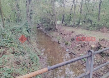 IMG20231104092732.jpg - Terreno edificabile via borgomanero, 10, Cressa - foto 1