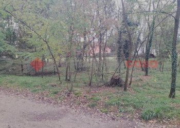 IMG20231104092710.jpg - Terreno edificabile via borgomanero, 10, Cressa - foto 2