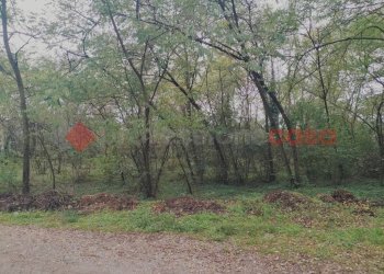 IMG20231104092727.jpg - Terreno edificabile via borgomanero, 10, Cressa - foto 3