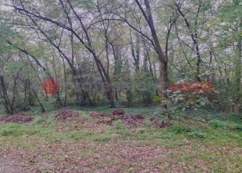 IMG20231104092735.jpg - Terreno edificabile via borgomanero, 10, Cressa - foto 5