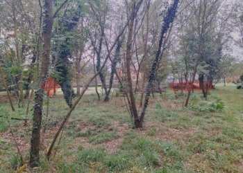 IMG20231104092654.jpg - Terreno edificabile via borgomanero, 10, Cressa - foto 6