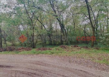 IMG20231104092753.jpg - Terreno edificabile via borgomanero, 10, Cressa - foto 7