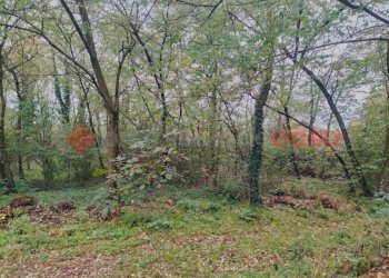 IMG20231104092742.jpg - Terreno edificabile via borgomanero, 10, Cressa - foto 9