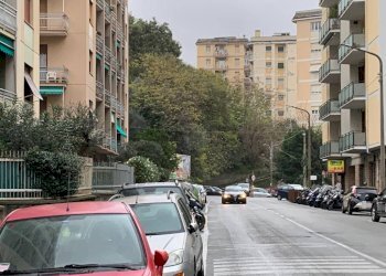 Zona - Trilocale viale Virginia Centurione Bracelli, Genova (zona Marassi) - foto 13