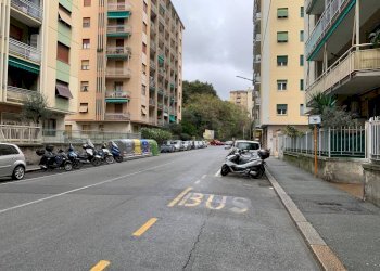 Zona - Trilocale viale Virginia Centurione Bracelli, Genova (zona Marassi) - foto 21