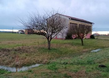 Terreno - Magazzino via Aldo Moro, Sissa Trecasali - foto 3