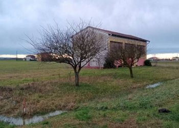 Terreno - Magazzino via Aldo Moro, Sissa Trecasali - foto 4