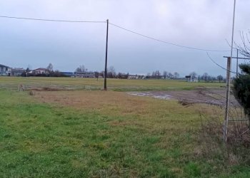 Terreno - Magazzino via Aldo Moro, Sissa Trecasali - foto 6