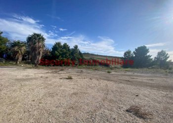 Terreno - Terreno agricolo Sciacca - foto 5