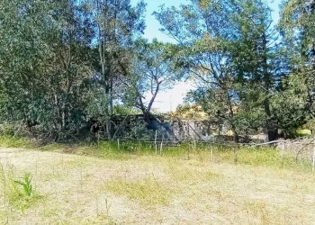 Historic Residence Berchidda - photo 12