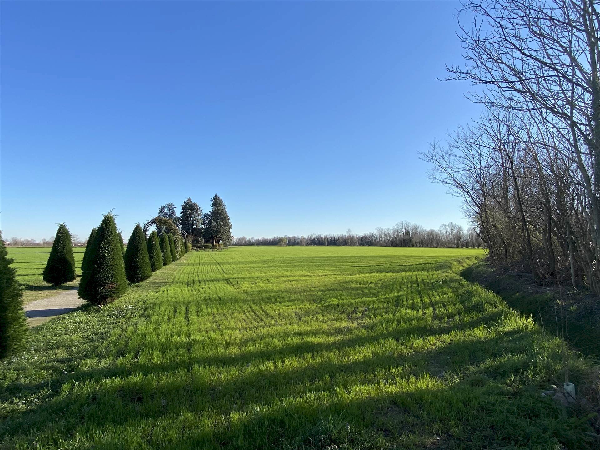 Agricultural land Cologno al Serio - photo 1