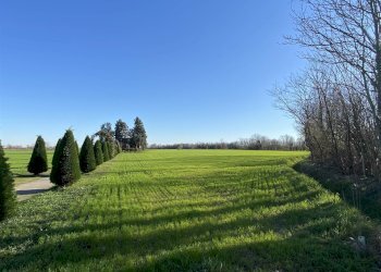 Agricultural land Cologno al Serio - photo 1