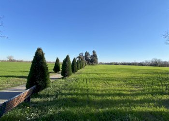 Agricultural land Cologno al Serio - photo 6