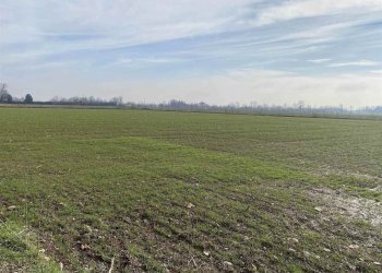 Agricultural land Cologno al Serio - photo 9