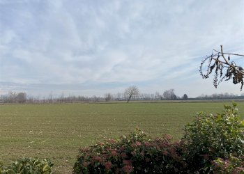 Agricultural land Cologno al Serio - photo 10