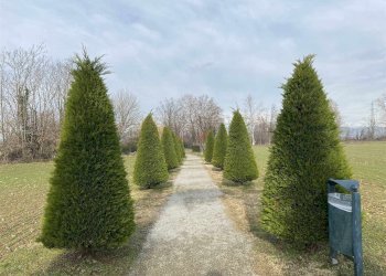 Agricultural land Cologno al Serio - photo 11