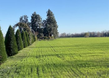 Agricultural land Cologno al Serio - photo 12