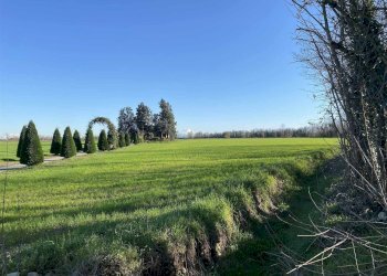 Agricultural land Cologno al Serio - photo 13