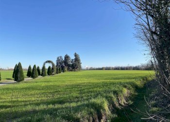 Agricultural land Cologno al Serio - photo 14