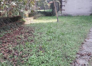 Appartamento Monticelli d'Ongina - foto 15