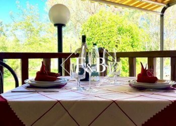 Bar Tavola Calda - Fredda asti, Asti - foto 2