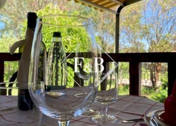 Bar Tavola Calda - Fredda asti, Asti - foto 3