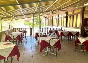 Bar Tavola Calda - Fredda asti, Asti - foto 9