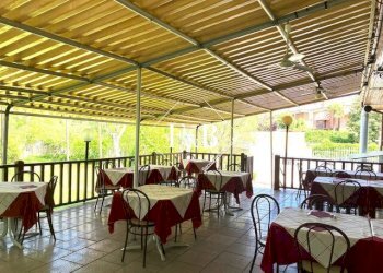 Bar Tavola Calda - Fredda asti, Asti - foto 10