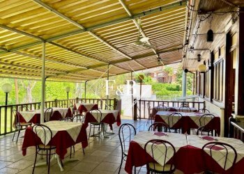 Bar Tavola Calda - Fredda asti, Asti - foto 12