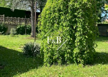 Bar Tavola Calda - Fredda asti, Asti - foto 18