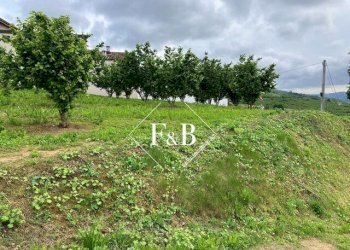 Terreno edificabile vi Portanuova Castino                                                                                               WhatsApp, Castino - foto 5