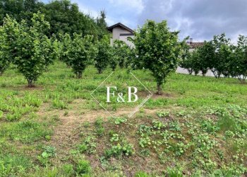 Terreno edificabile vi Portanuova Castino                                                                                               WhatsApp, Castino - foto 8