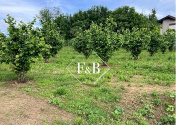 Terreno edificabile vi Portanuova Castino                                                                                               WhatsApp, Castino - foto 9