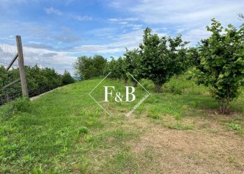 Terreno edificabile vi Portanuova Castino                                                                                               WhatsApp, Castino - foto 11