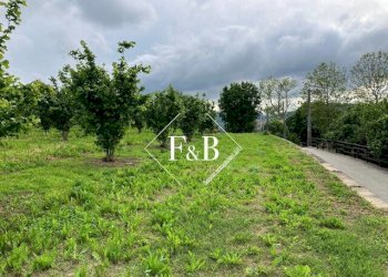 Terreno edificabile vi Portanuova Castino                                                                                               WhatsApp, Castino - foto 17