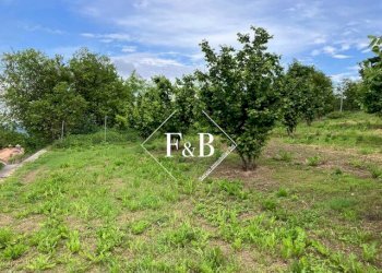 Terreno edificabile vi Portanuova Castino                                                                                               WhatsApp, Castino - foto 22