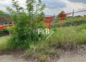 Terreno edificabile Strada Moschetto, Celle Enomondo - foto 19