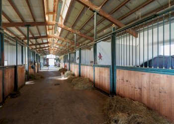 Rustico Strada Menabò, Cellarengo - foto 4