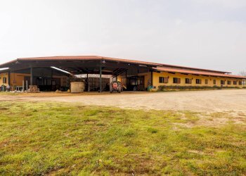 Rustico Strada Menabò, Cellarengo - foto 16